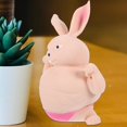 thumbnail image 5 of Funny Squishy Rabbit Toy Squeeze Rabbit Ball Toy Stretchy Muscle Animal Figure Release and Decompress Toy Sensory Toy, 5 of 5