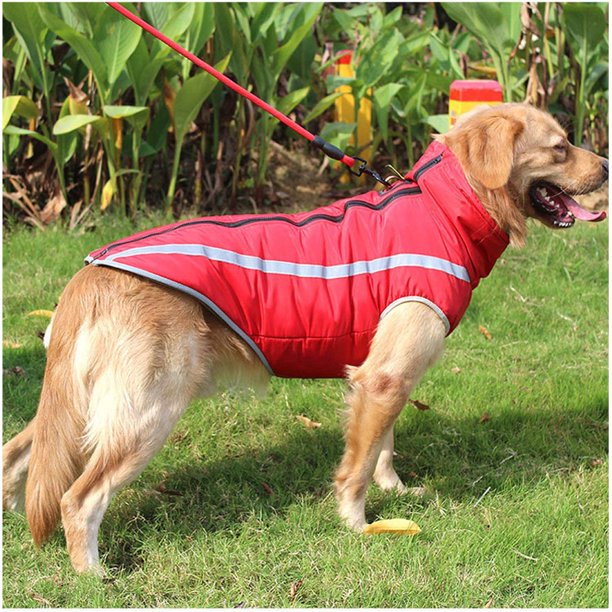 Abrigo impermeable para perros, chaqueta para perros, ropa para perros de talla mediana/grande (rojo, 4XL)