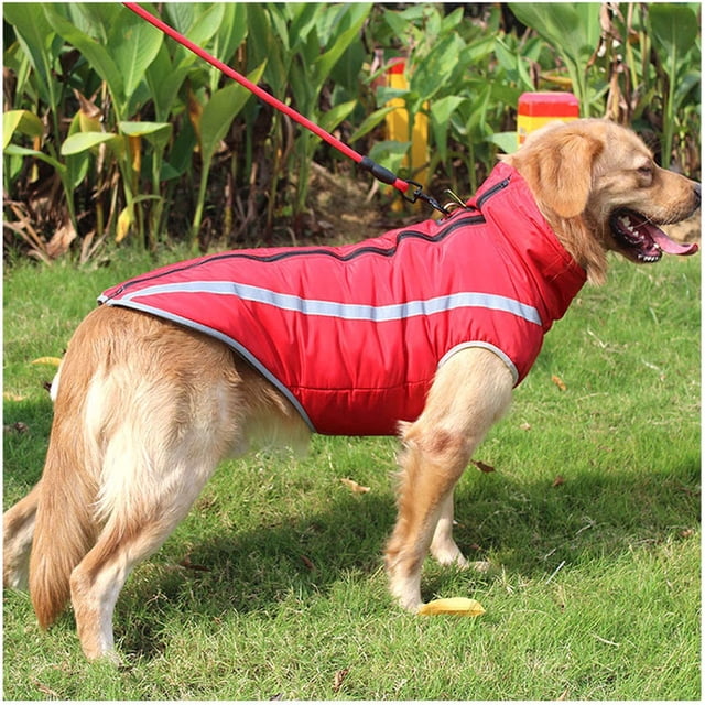 Abrigo impermeable para perros, chaqueta para perros, ropa para perros de talla mediana/grande (rojo, 4XL)