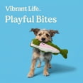 thumbnail image 5 of Vibrant Life Green Trout Plush Dog Toy with Squeaker, Chew Level 4, 5 of 10