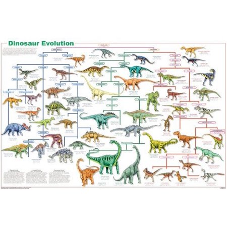Feenixx Dinosaur Evolution 24” x 36” Poster, Vibrant Colors