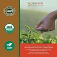 thumbnail image 4 of Brahmi Hair Oil (8 oz) by Vadik Herbs | African American Hair Texture | All Natural Herbal Hair Oil for Hair Growth, Hair Conditioning, Dandruff and Dry Scalp | Herbal Scalp Treatment, 4 of 6