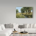 thumbnail image 3 of Bill Makinson 'Beeches And Daisies' Canvas Art, 3 of 4