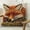 H, variant on 18x18 inch Funny Fox Decorative Throw Pillow Covers, Animal Embroidery Square Pillowcase for Living Room, Bed Decor, Patio, Car, 2D Printed Style
