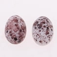 thumbnail image 4 of 20 Piezas Comestibles Sunnimix Huevo de Codorniz Minis Cocina Comedor, 4 of 5