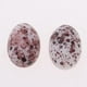 thumbnail image 4 of 20 Piezas Comestibles Sunnimix Huevo de Codorniz Minis Cocina Comedor, 4 of 5