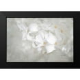 thumbnail image 2 of Murdock, Ramona 24x17 Black Modern Framed Museum Art Print Titled - White Lilac I, 2 of 5