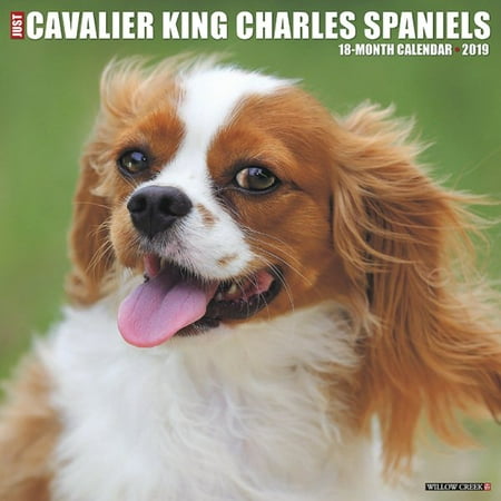 Tri Cavalier King Charles Spaniel - Just Cavalier King Charles Spaniels 2019 Calendar
