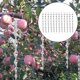 thumbnail image 4 of Dispositivo disuasorio en espiral de 12/30 piezas, repelente de aves reflectante de 12 pulgadas 12 piezas, 4 of 9