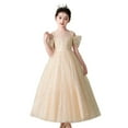 thumbnail image 2 of Girls Formal Tulle Princess Dress, Elegant Puffy Net Dress for Flower Girl Junior Bridesmaid, Wedding Birthday Party Special Occasion Gown Age 3Y-14Y Beige 120, 2 of 7