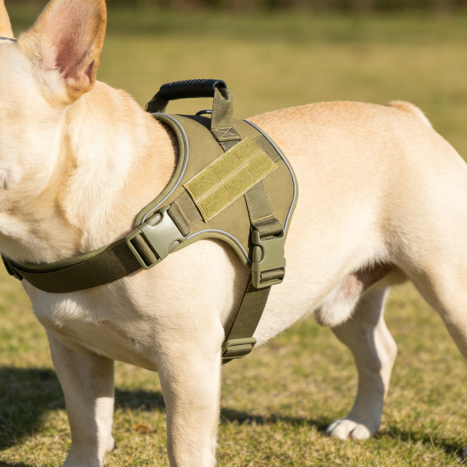 Harness for Large Dogs Heavy Duty Non Pull Harness with Handles for Walking and Training - Overhead Straps and Control Grip without Pulls