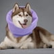 thumbnail image 5 of Capucha para mascotas jinwen para orejas de perro Morado L, 5 of 8