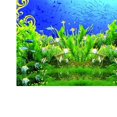 thumbnail image 3 of Etiqueta Engomada Acuario Fondo Etiqueta Accesorios Herramineta Instalación de Elegante XS Yuyangstore Etiqueta engomada del fondo del tanque de peces, 3 of 8