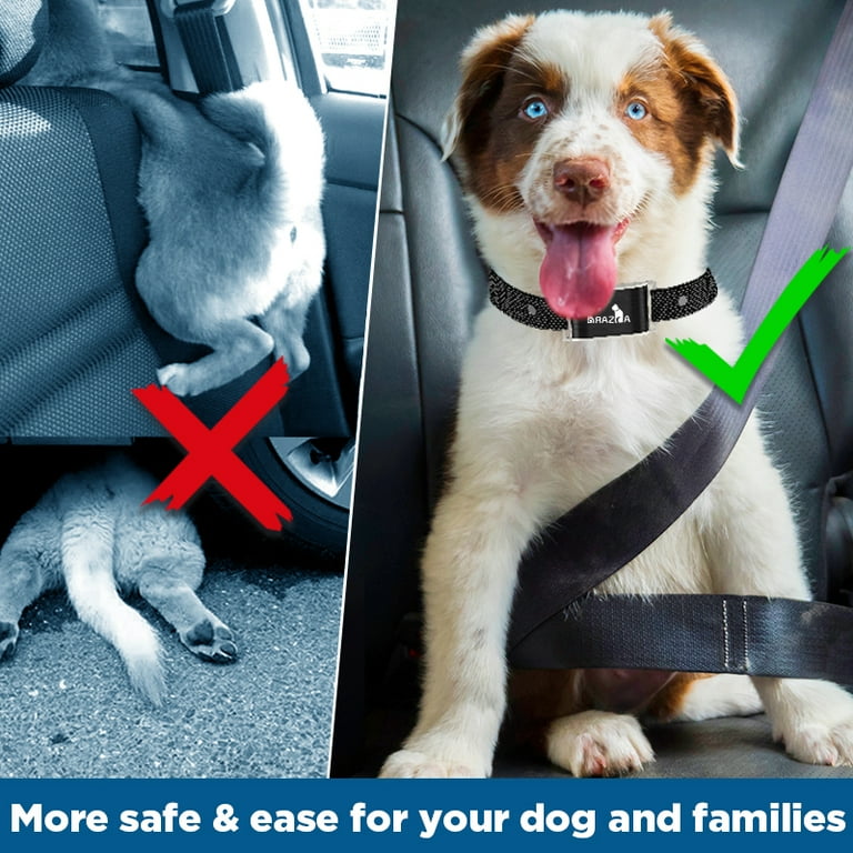 Dog shock collar 2025 walmart in store