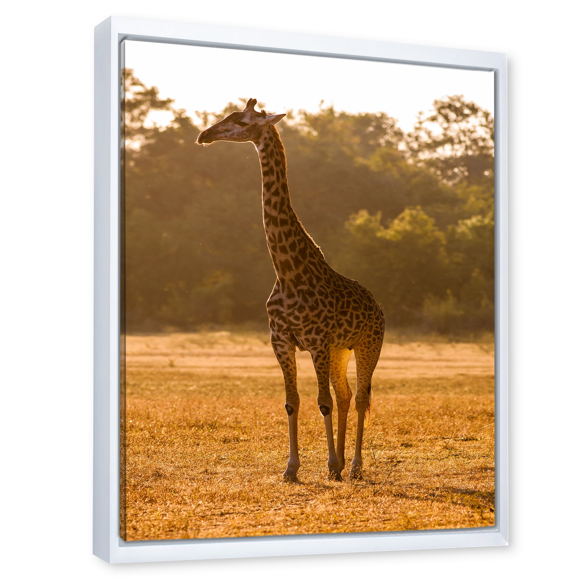Designart 'African Giraffe In The Wildlife II' Farmhouse Framed Canvas Wall Art Print