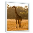 thumbnail image 3 of Designart 'African Giraffe In The Wildlife II' Farmhouse Framed Canvas Wall Art Print, 3 of 5