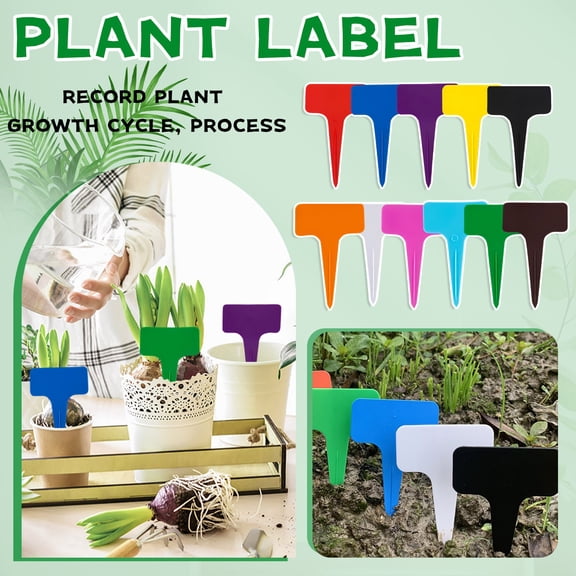 Plant Labels Garden Markers, Seedling Nursery Plant Name Tags, Durable Waterproof Plastic Reusable, Easy Write-On 4x2 inch, 100 Pcs Dark Green
