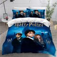 thumbnail image 1 of 3D Digital Printing Quilt Cover Bed Sheet Pillowcase Three-piece Set Four-piece Set, 1 of 3