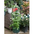 thumbnail image 2 of Doolland Adjustable 20 X 60cm Stainless Steel Conical Plant Cage Tomato Support, 2 of 2