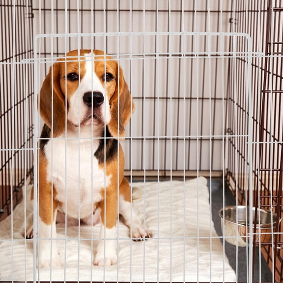 WEAVILUX White Metal Mesh Cat Cage Door Panel with Modular Inward Folding Design for Small Pets and Animal Enclosures