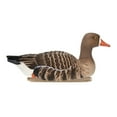 thumbnail image 3 of Avian X Topflight Specklebelly Goose Decoys with True to Life Postures, 12 Pack, 3 of 12