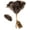 Brown 16", variant on Feather Duster, Ostrich Feather Duster General Fluffy Natural Genuine Ostrich Feathers and Reusable Wooden Long Handle Large Ostrich Feather Duster Cleaning for Housewife Black Length 16" 1Pack