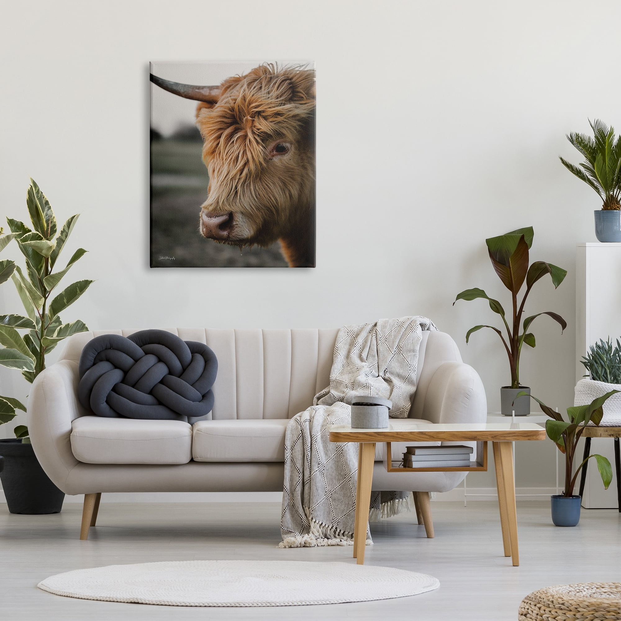 Stupell Industries Cattle Gazing Portrait Animals & Insects Photography Gallery Wrapped Canvas Print Wall Art, 30 x 40
