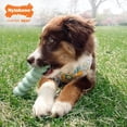 thumbnail image 2 of Juguete Sensory de Masticar Nylabone Mantequilla de Maní para Cachorros, 2 of 8