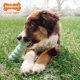 thumbnail image 2 of Juguete Sensory de Masticar Nylabone Mantequilla de Maní para Cachorros, 2 of 8