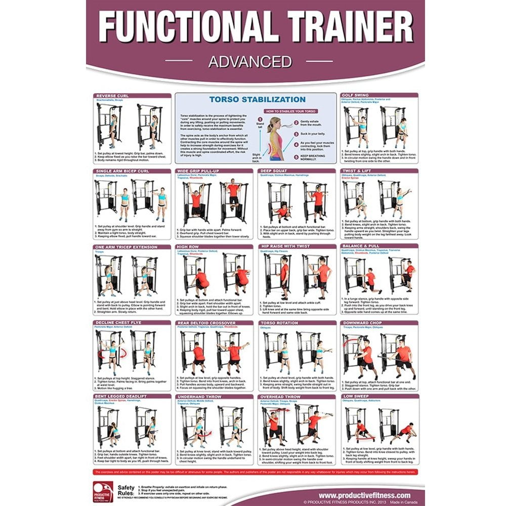 Productive Fitness Poster Series Male Muscle Diagrams Non Laminated 
