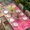 Rose Red, variant on Easter Table Cloths for 8 Foot Rectangle Tables, Spring Floral Watercolor Easter Eggs Bunny Flower Bow Patio Waterproof Elastic Fitted Tablecloths, Washable Rectangular Table Cover for Camping