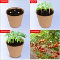 thumbnail image 5 of Xiao Hua 50 macetas de turba espesa, kit de inicio de plántulas biodegradables y ecológicas de 3,15 pulgadas, bandejas de germinación de semillas., 5 of 5