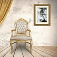 thumbnail image 3 of Design Fabrikken 17x24 Gold Ornate Wood Framed with Double Matting Museum Art Print Titled - Black and White 1, 3 of 4