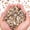 Natural Color, variant on Sinkoo Crushed Shells for Crafts About 0.66LB (300g/11.64oz) Small Natural Crushed Shells Bulk for Crafts DIY Beaching Wedding Decoration Vase Fillers (Light Blue)