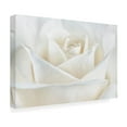 thumbnail image 3 of Trademark Fine Art Cora Niele Pure White Rose Canvas Wall Art - 30x47, 3 of 5