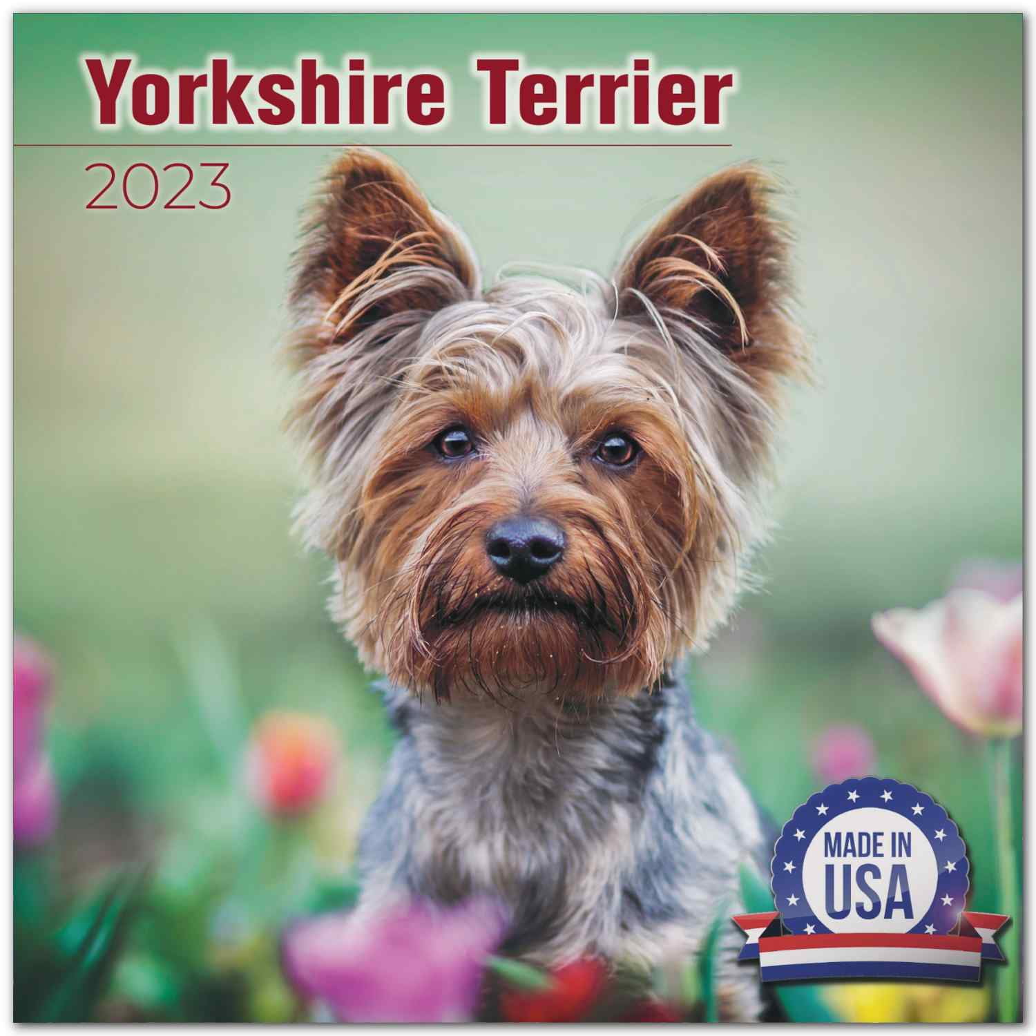 2022 2023 Yorkshire Terrier Calendar - Dog Breed Monthly Wall Calendar - 12 x 24 Open - Thick No-Bleed Paper - Giftable - Academic Teacher's Planner Calendar Organizing & Planning - Made in USA