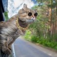 thumbnail image 5 of 7 Piece Cool Cat Dog Costume Set Include Adjustable Gold Pet Dog Chain and Funny Cute Cat Small Dog Sunglasses Retro Pet Sunglasses for Cat Puppy Smal, 5 of 5