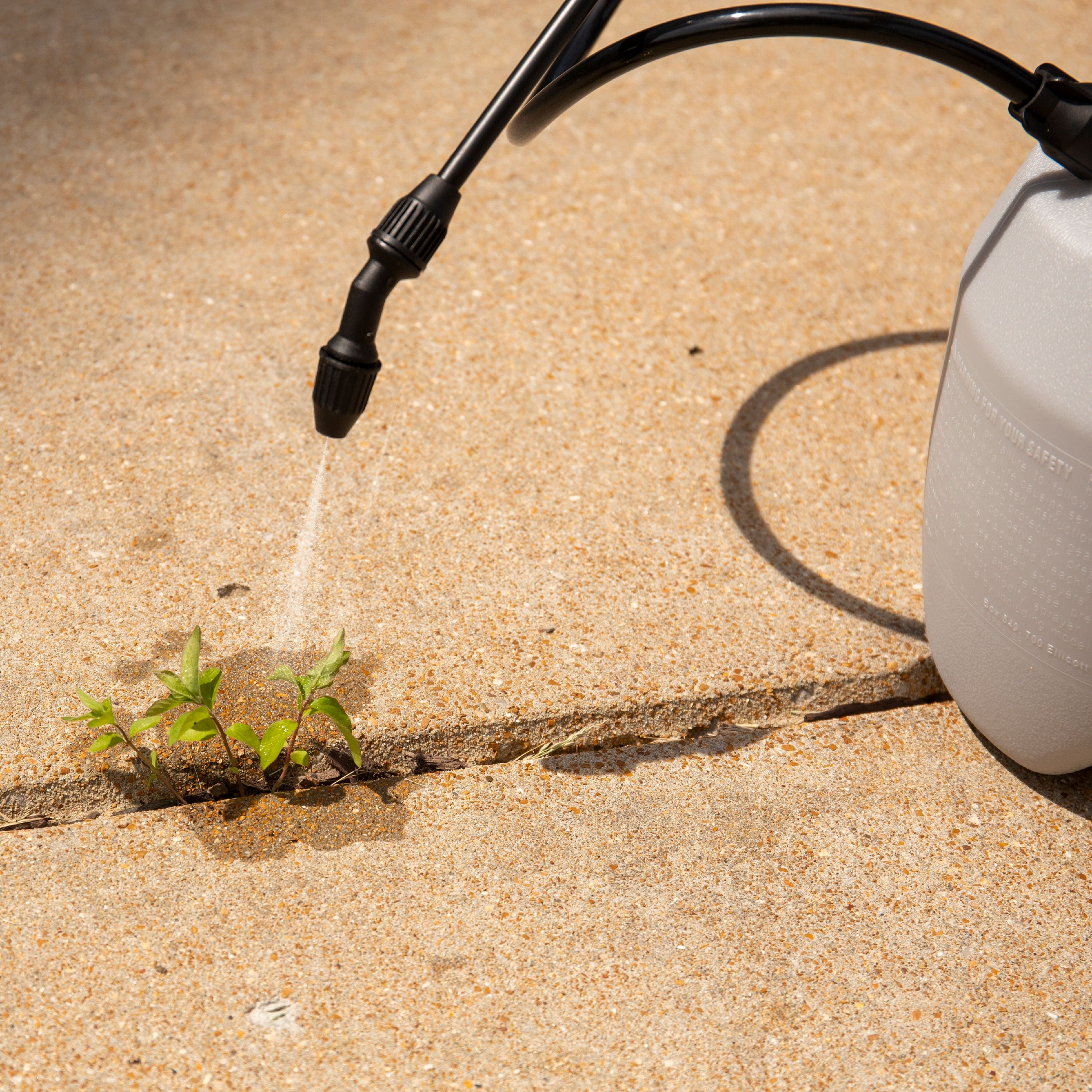 Buy Spectracide Weed & Grass Killer, 40 oz Online at Lowest Price in