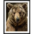 thumbnail image 2 of Brown Bear CloseUp Shot, Animals Figurative Scenic Framed Art Print Wall Art by NejroN Photo Sold by Art.Com, 2 of 6
