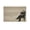 Unframe-style, variant on Mark Twain Poster Gifts Canvas Painting Poster Wall Art Decorative Picture Prints Modern Decor 08x12inch(20x30cm)