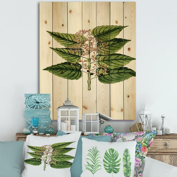Designart 'Ancient Plant Life XXVI' Traditional Print on Natural Pine Wood
