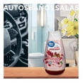 thumbnail image 3 of Cono Great Value Petalos de Jamaica 170g, 3 of 12