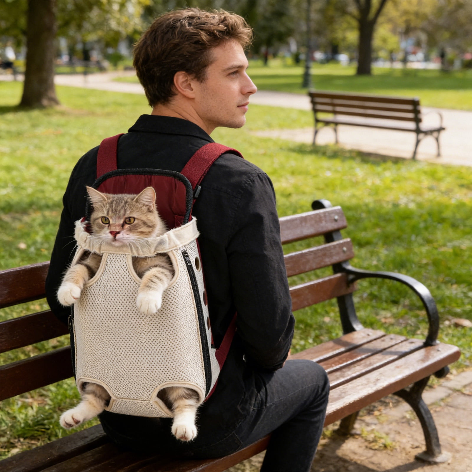 Lunxisen 2 Pcs Breathable Pet Backpack Carrier Mesh Ventilation Outdoor Travel Hiking Portable Dog Cat Carrier Bag(M)