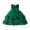Green, variant on Kids Flower Girl Dress Beige Sleeveless Princess Girls Party Dress Primary School Graduation 4T