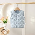 thumbnail image 2 of Puffer Vest Sleeveless Jacket Lightweight Girls' Outerwear Jackets & Coats Girls Winter Clothes Girls Clothing Size . 3-6 Months, 2 of 8
