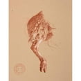 thumbnail image 2 of Jacques-Raymond Brascassat 12x14 Gold Ornate Wood Frame and Double Matted Museum Art Print Titled - Sheep's Paw Study, 2 of 4