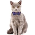 thumbnail image 4 of LAICAIW Breakaway Cat Collar with Bells-2 Pack Cat Collar with Bells, Cat Collars with Bandana, Accessories for Pet Collars, Adjustable for Cats and Small Dogs (Purple), 4 of 6