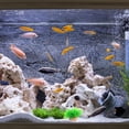 thumbnail image 4 of YSNOOWE 15Ud Artificiales Para Pecera Natural Con Base Plana, 4 of 6