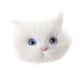 thumbnail image 5 of Cabeza De Gato De Simulación Modelo Animal Lindo Broche De Gato De Plástico Accesorio De Bricolaje, 5 of 9