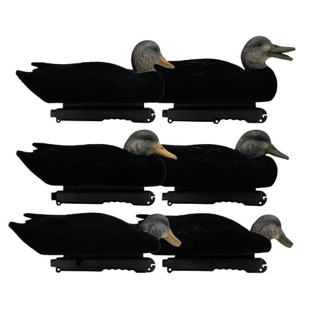 Final Approach LIVE Flocked Black Duck Decoys 6 Pack